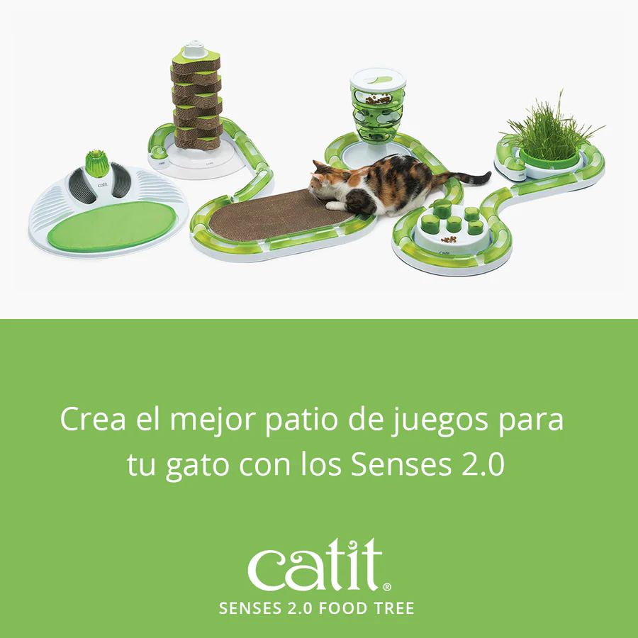 Senses Food Tree - Imagen 8