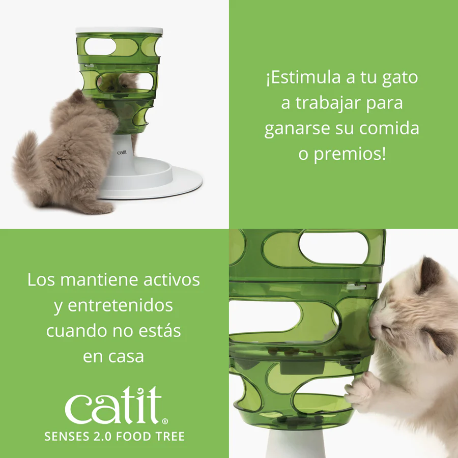 Senses Food Tree - Imagen 3