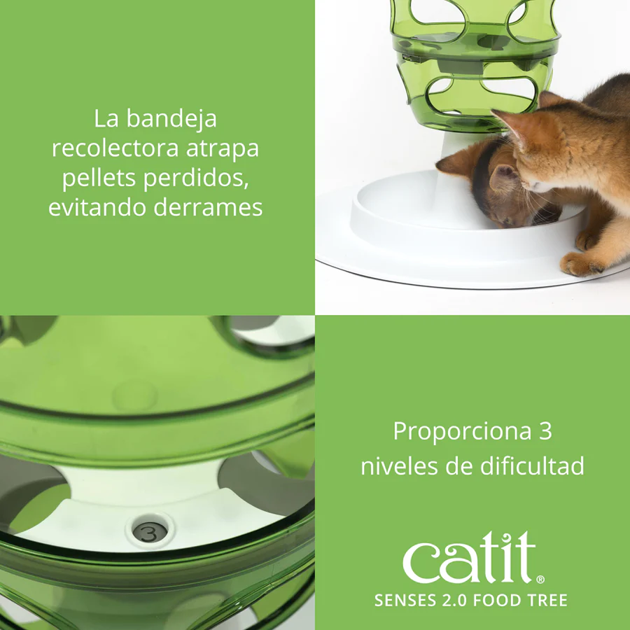 Senses Food Tree - Imagen 4