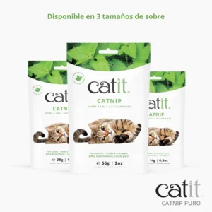 Catnip seco para gatos Catit