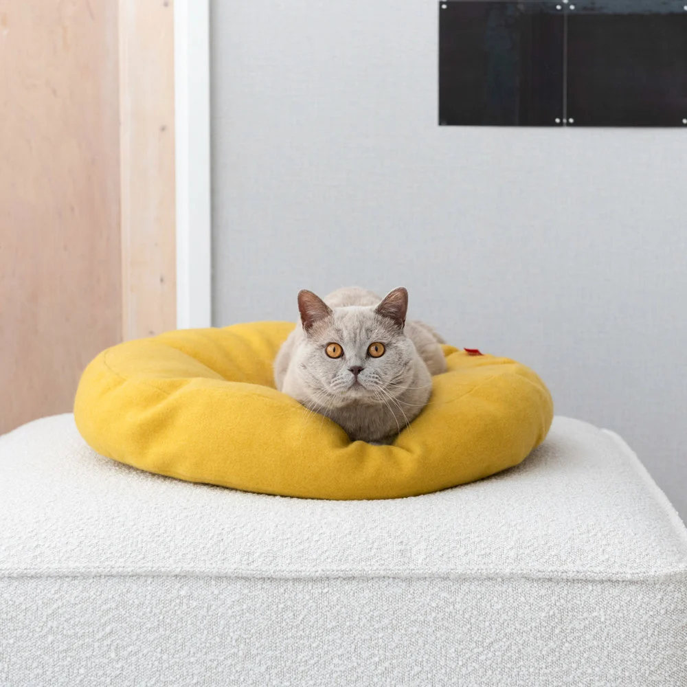 Cama Donut Cat - varios colores - Imagen 16