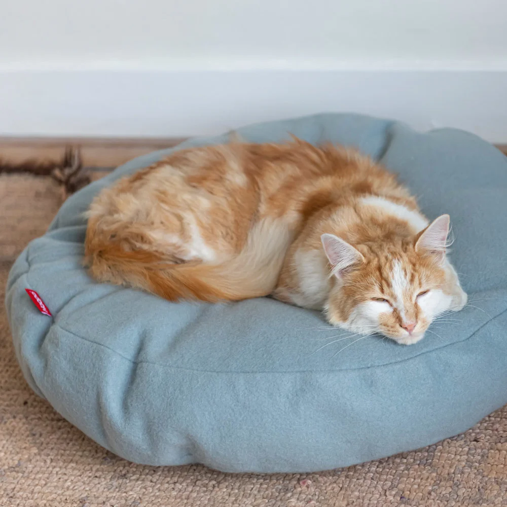 Cama Donut Cat - varios colores - Imagen 19