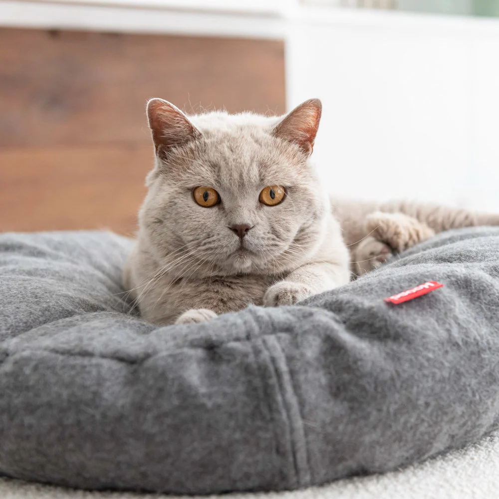 Cama Donut Cat - varios colores - Imagen 13