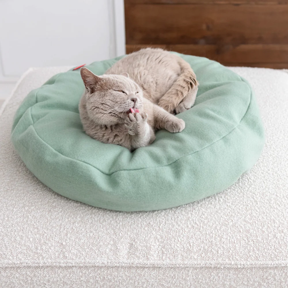 Cama Donut Cat - varios colores - Imagen 6