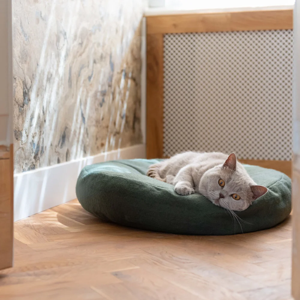 Cama Donut Cat - varios colores - Imagen 4