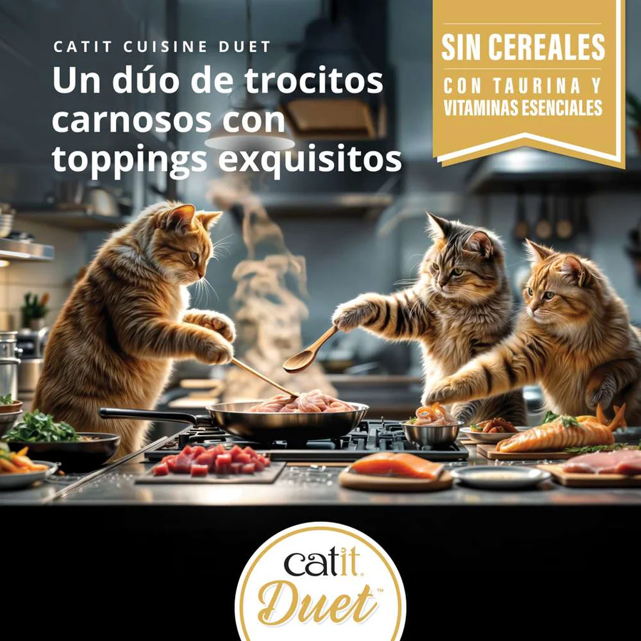 Dúo de carne con toppings para gatos Catit Cuisine Duet (12 u) - Imagen 6