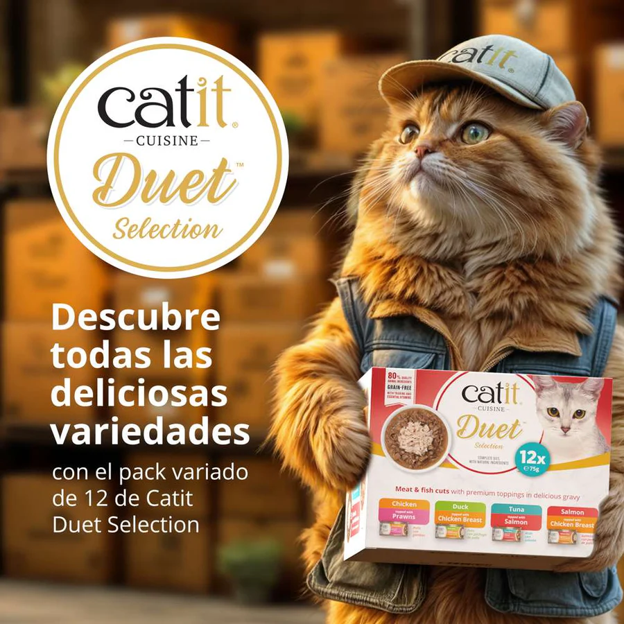 Dúo de carne con toppings para gatos Catit Cuisine Duet (12 u) - Imagen 8